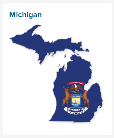 michigan state flag