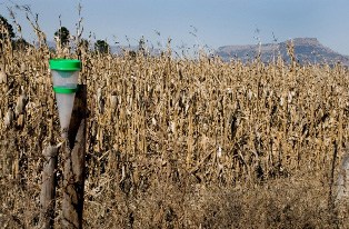 most expensive natural disasters 1980 drought